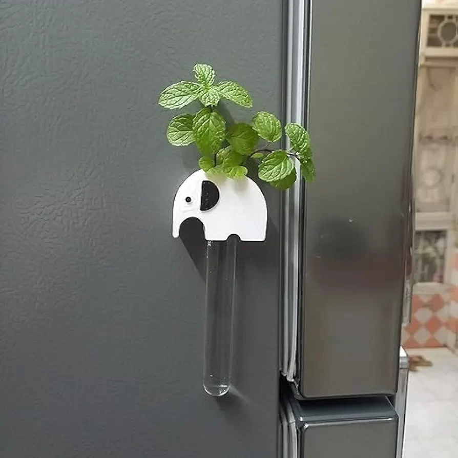 Elephant Magnet Test Tube Planter for Cupboard, Fridge and for Any Metallic Surface