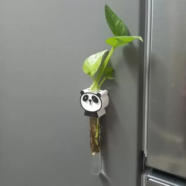 Pannda Magnetic Planter for Wall or Fridge - Perfect for Small Plants